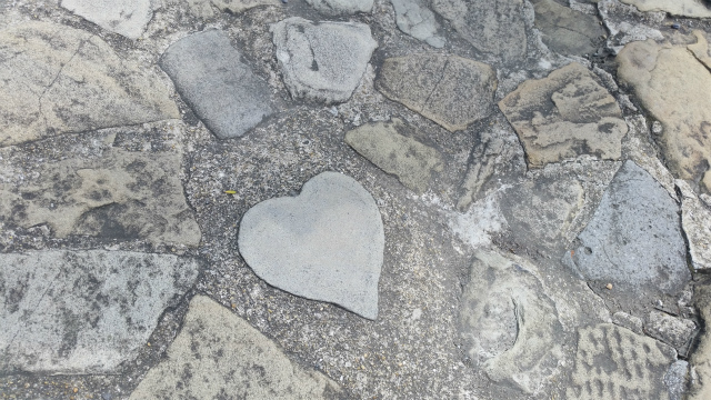 動物の形をした花 - オウムの花 (Impatiens psittacina)