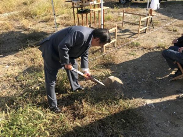 パパイヤの植え方 - パパイヤを土や土に植える方法