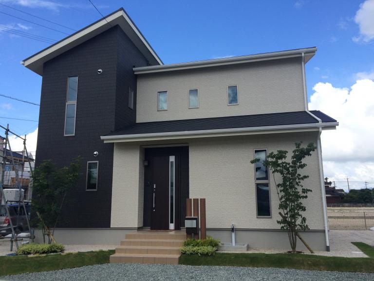 植物に葉が転がる:その理由と対処法 - 除草剤