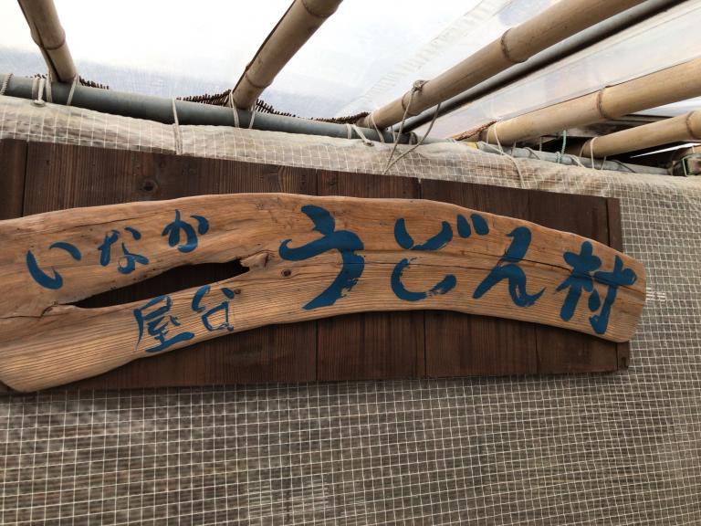 多肉植物の害虫と戦う方法