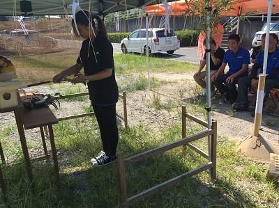 赤玉とは何なのか、何のためにあるのか - 赤玉の植物への使い方