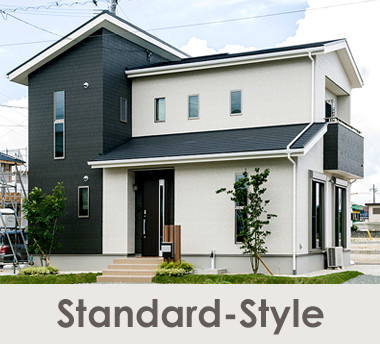 standard style