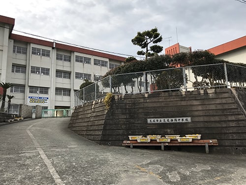 荒尾市立海陽中学校 画像