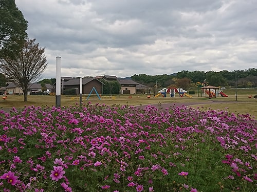 筑後広域公園 画像