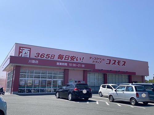 ドラッグコスモス川登店