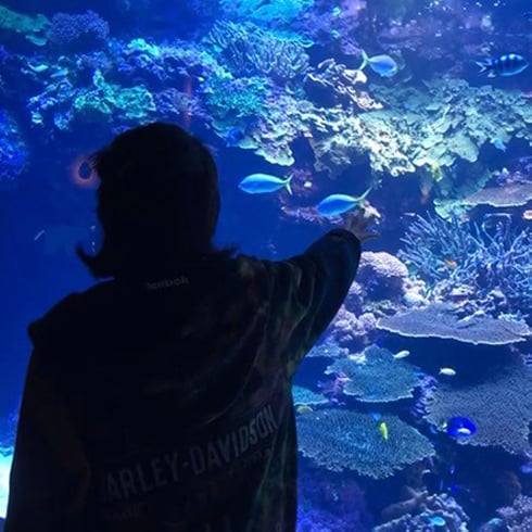 水族館